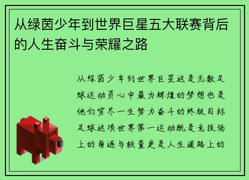 从绿茵少年到世界巨星五大联赛背后的人生奋斗与荣耀之路